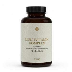 MULTIVITAMIN + MINERALSTOFFE KOMPLEX – 120 Softgels