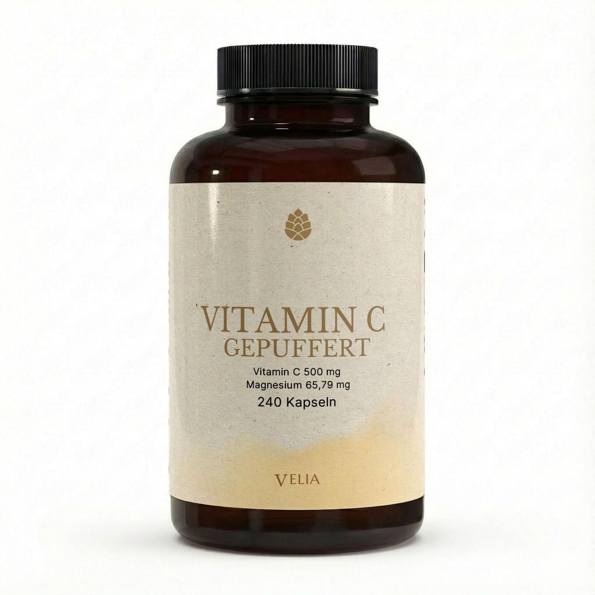 GEPUFFERTES VITAMIN C 500 mg – 240 Kapseln