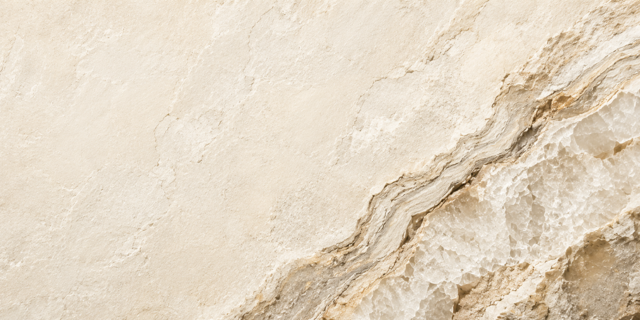 Mineralstoffe & Spurenelemente