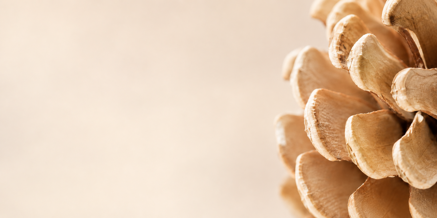 Pflanzenstoffe & Adaptogene